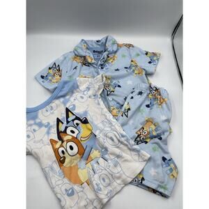 Bluey 3-Piece Set Two (2) T-Shirts & Shorts Outfit Size 5T